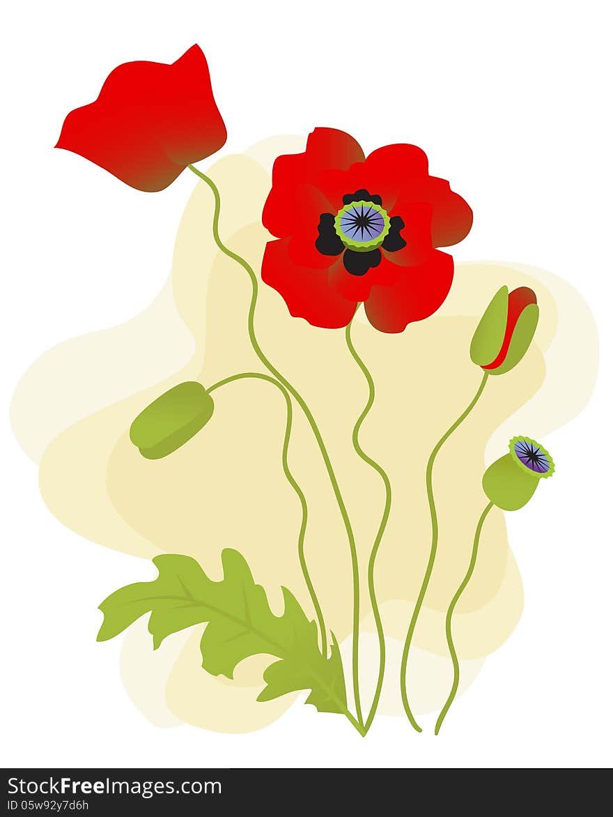 Vector poppies isolated on a beige background. Vector poppies isolated on a beige background