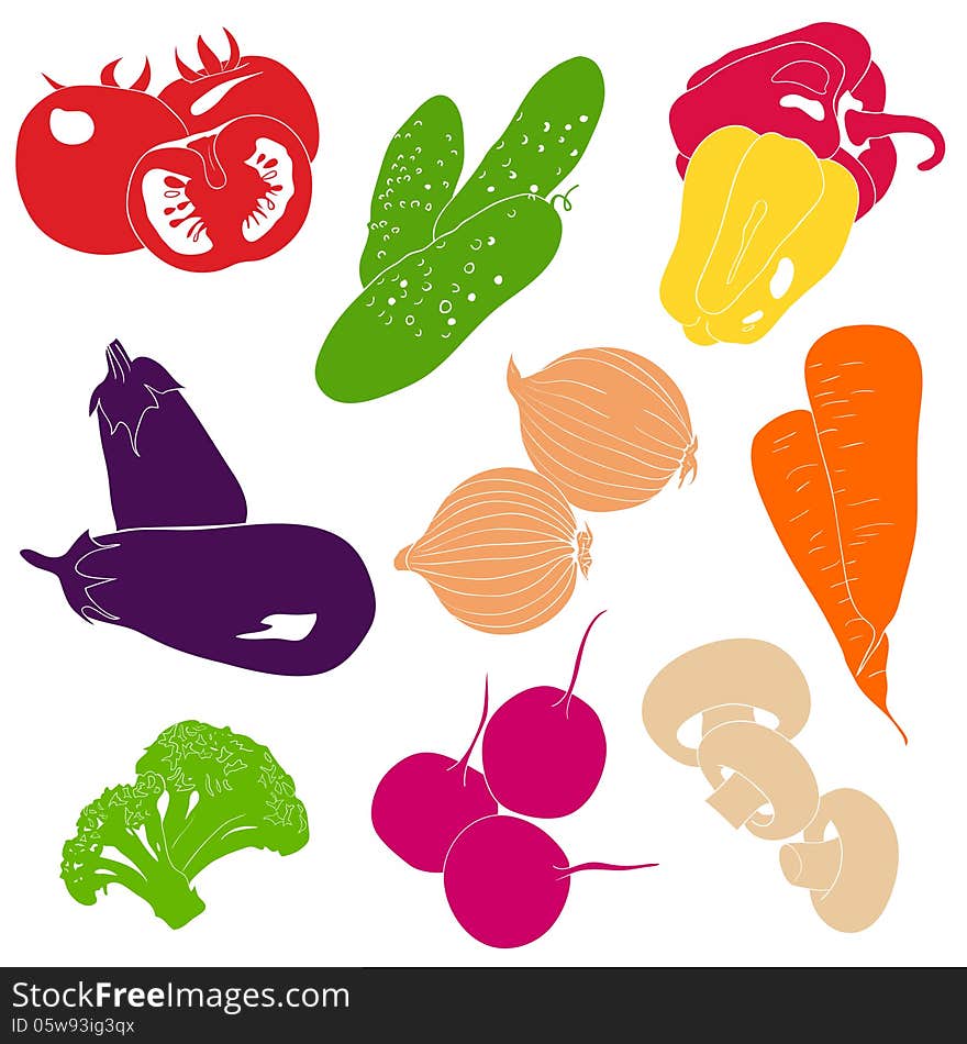 Vegetables collection, colourful illustration. Vegetables collection, colourful illustration