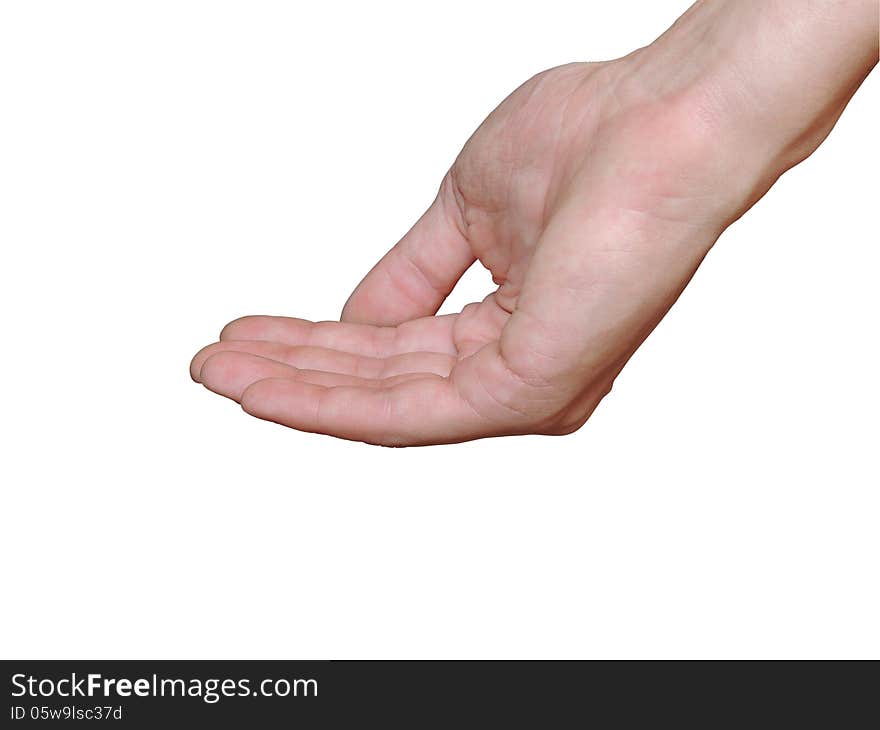 Hand palm isolation on white background