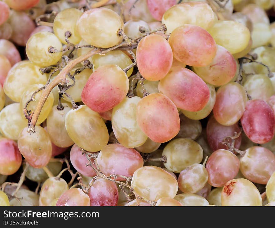 Photo grapes close-up