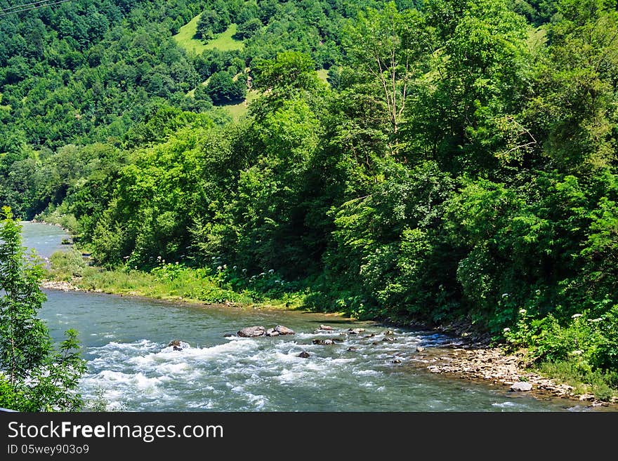 Turn of the river near the forest at the foot of the mountain. Turn of the river near the forest at the foot of the mountain