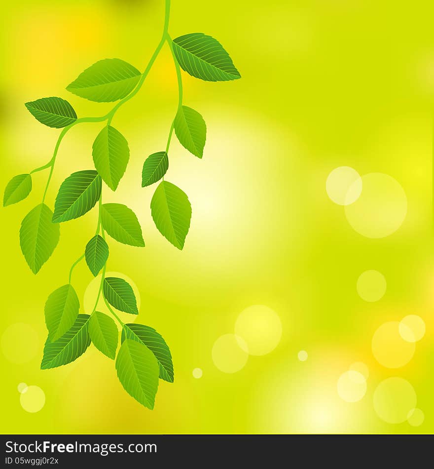 Nature background with leaves. See my other works in portfolio.