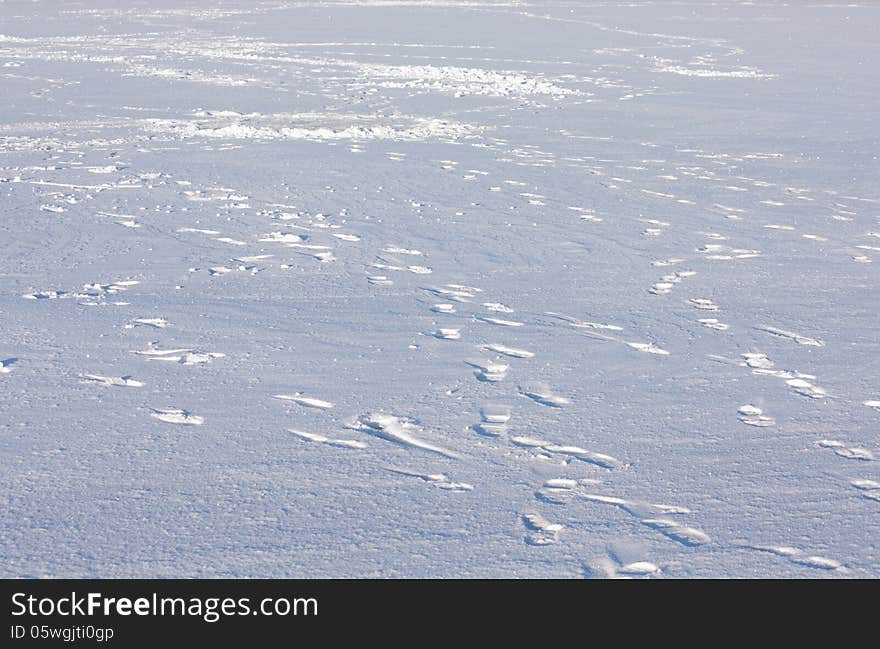 Snow surface with footprints