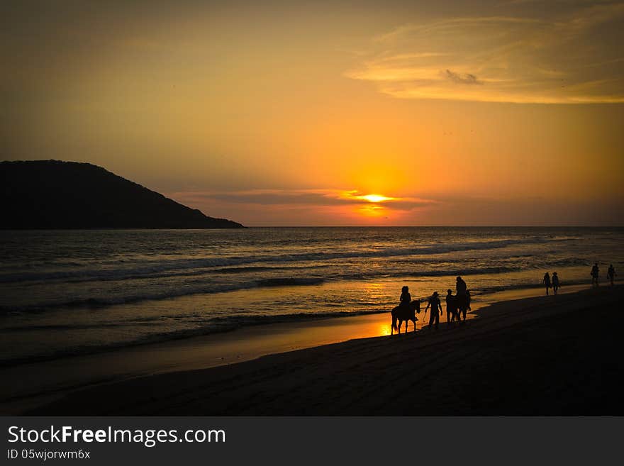 Sunset at the beach and horse riding