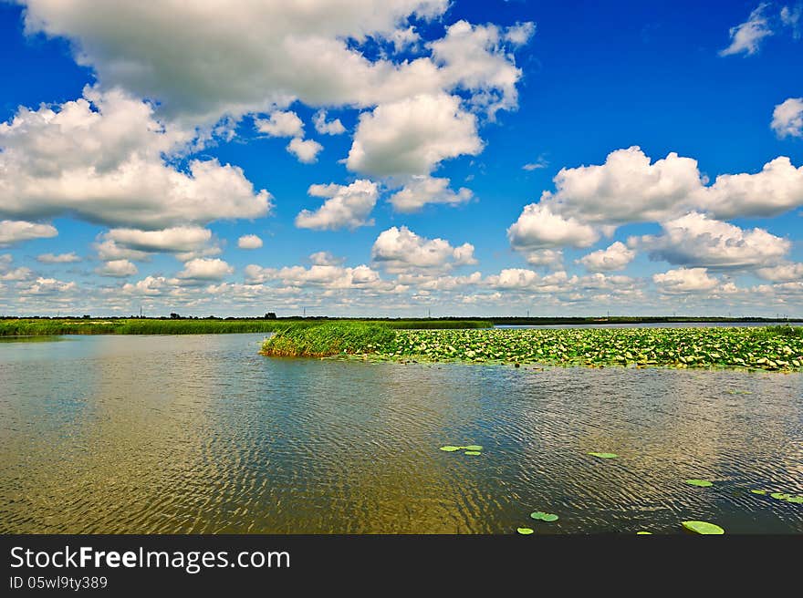 The photo taken in China's heilongjiang province daqing city Longfeng marsh.Longfeng marsh is located in the urban wetland, distance from the city center only 8km. The photo taken in China's heilongjiang province daqing city Longfeng marsh.Longfeng marsh is located in the urban wetland, distance from the city center only 8km.