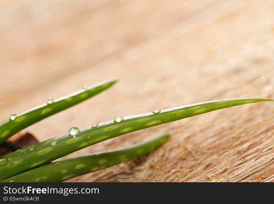 Aloe vera leaves on wooden background, close up