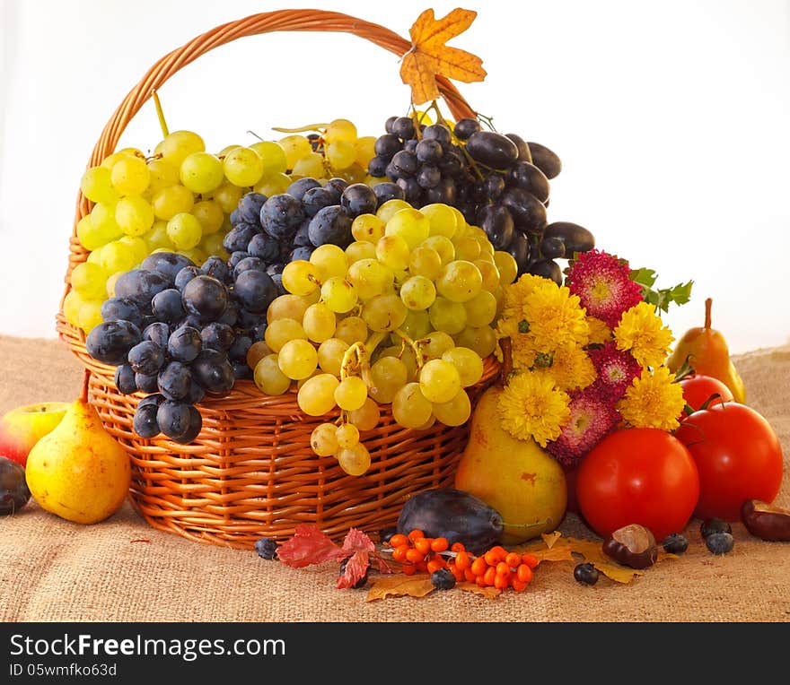 Still Life With Autumn Fruits