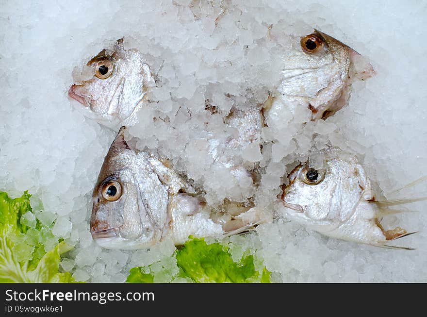 Fish heads of red snapper on ice on display at the fishermen market.