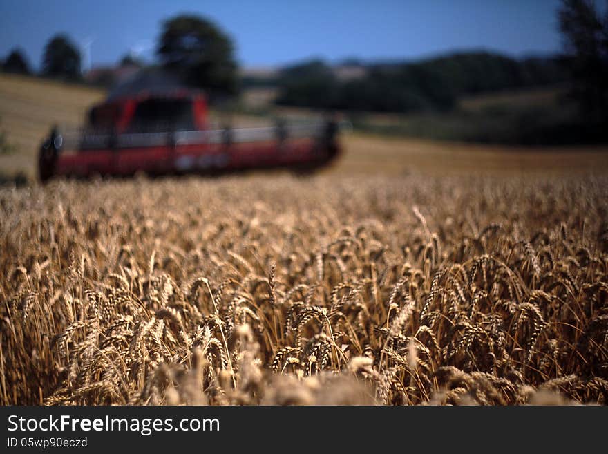 Harvester appoaching the field