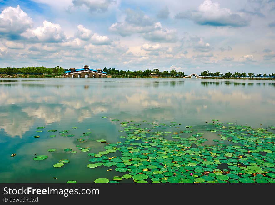 The photo taken in China's heilongjiang province daqing city Tieren park. The photo taken in China's heilongjiang province daqing city Tieren park.