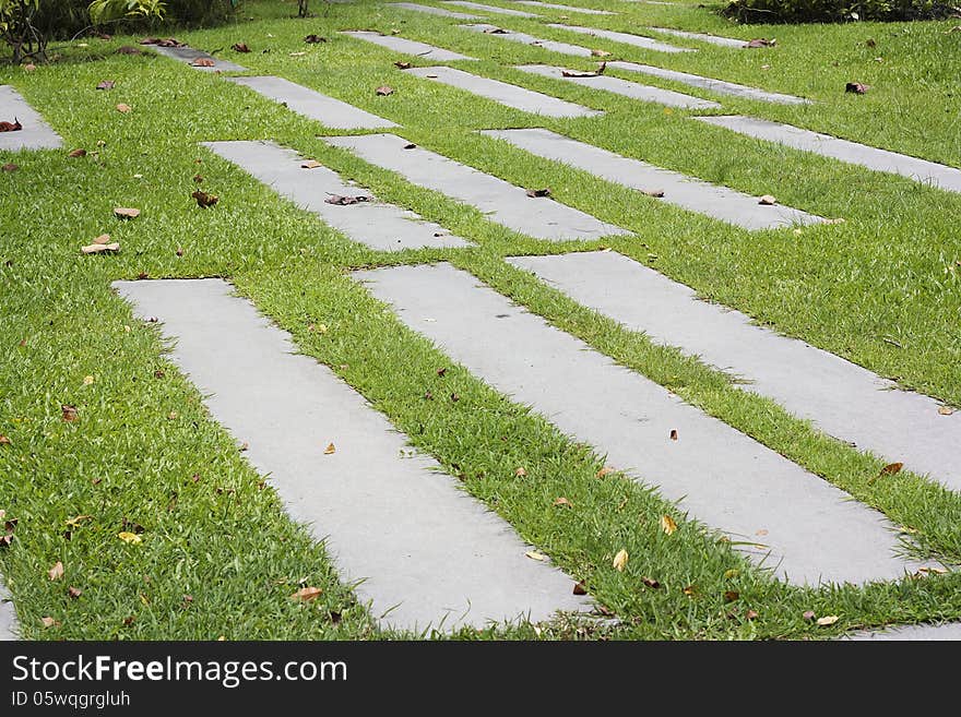 Flat cement pathway in park