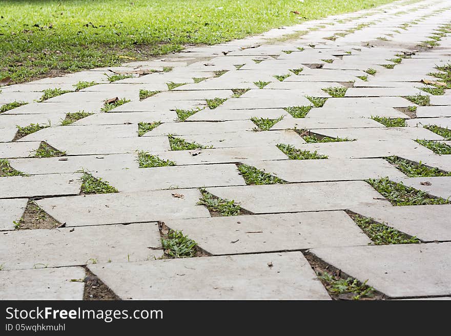 Flat cement pathway in park