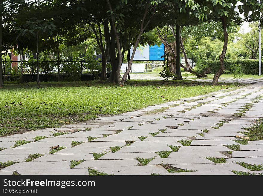 Flat cement pathway in park