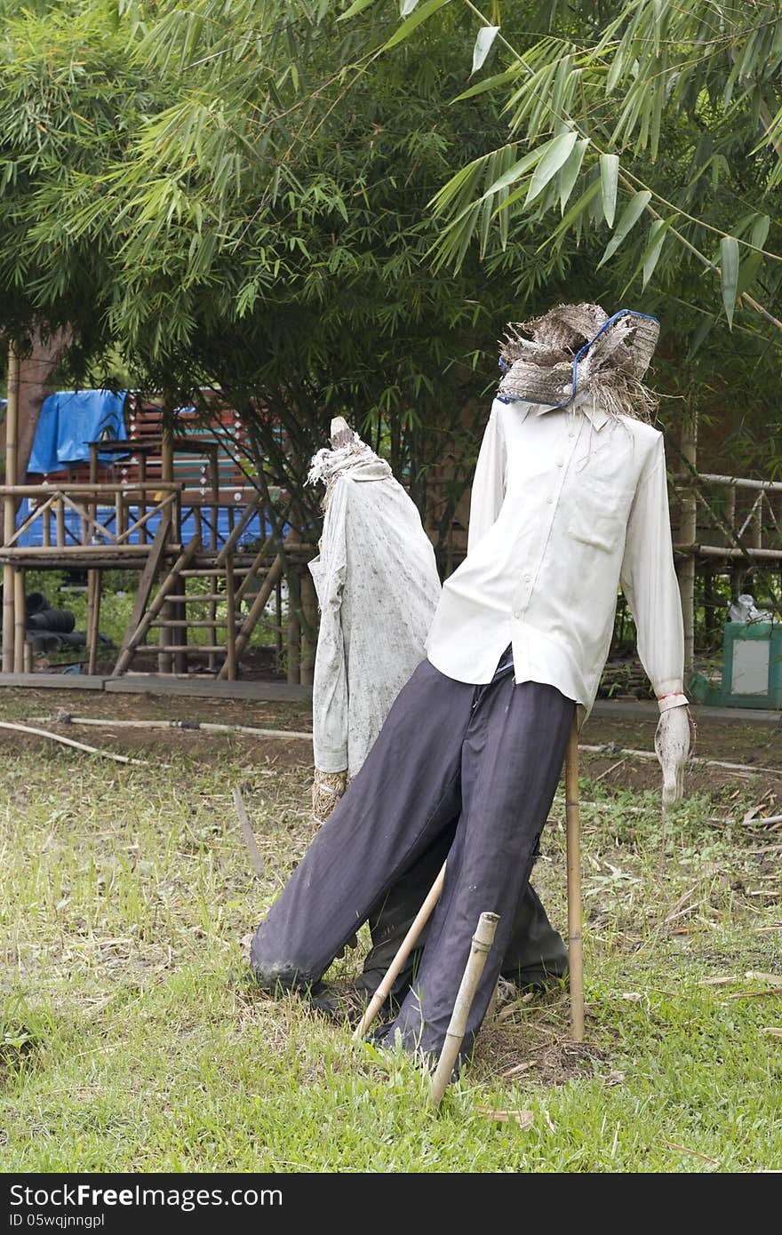 Two scarecrow in rice field