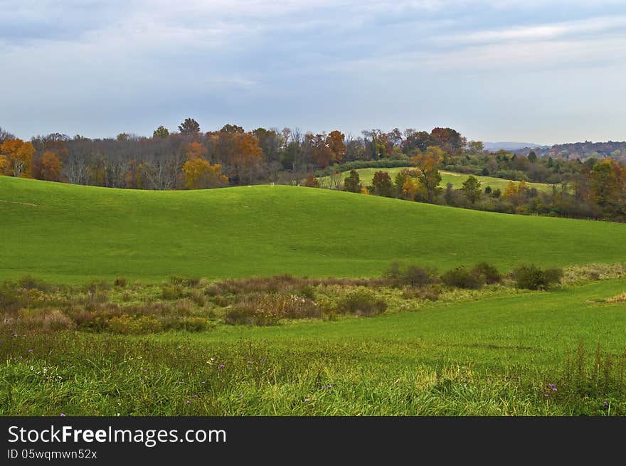 A green hilside and Autumn colors in North West New Jersey. A green hilside and Autumn colors in North West New Jersey.