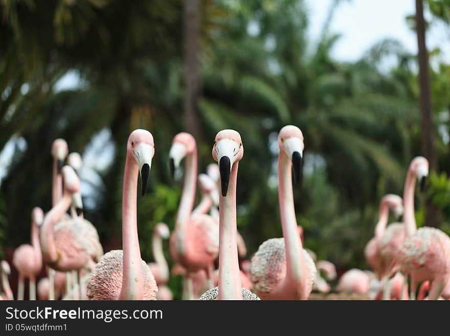 Greater Flamingo Bird pink color Toy