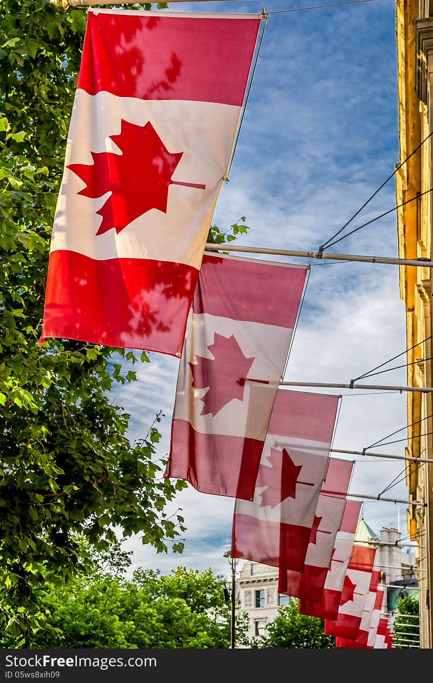 Canadian National Flags lined in front of the Canadian Embassy in Travalgar Square in London, England. Canadian National Flags lined in front of the Canadian Embassy in Travalgar Square in London, England