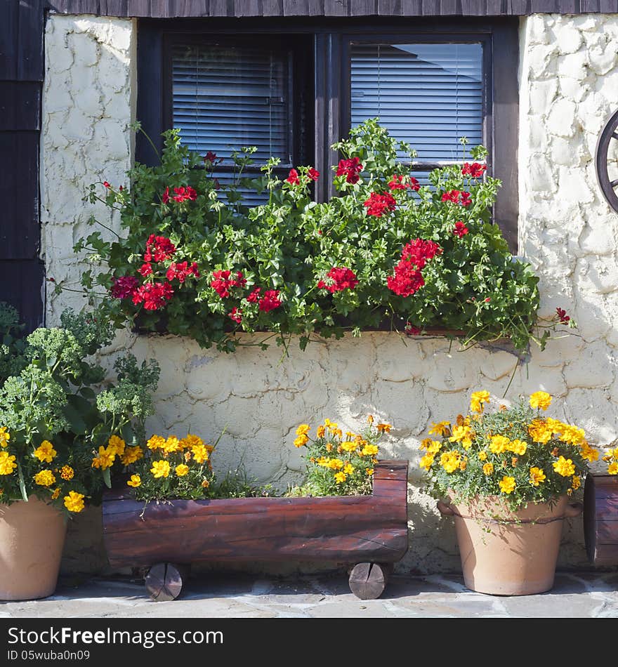 Street patio garden and window with potted plants and flowers. Street patio garden and window with potted plants and flowers.