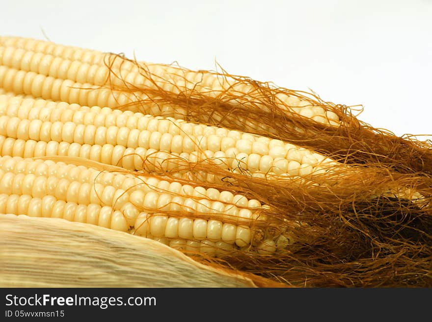 Hairy corn