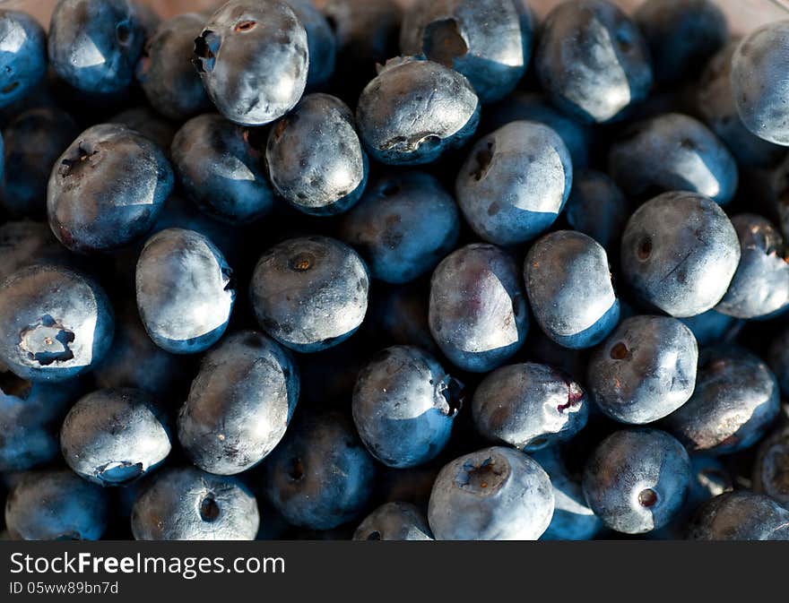 Berries of a bilberry background