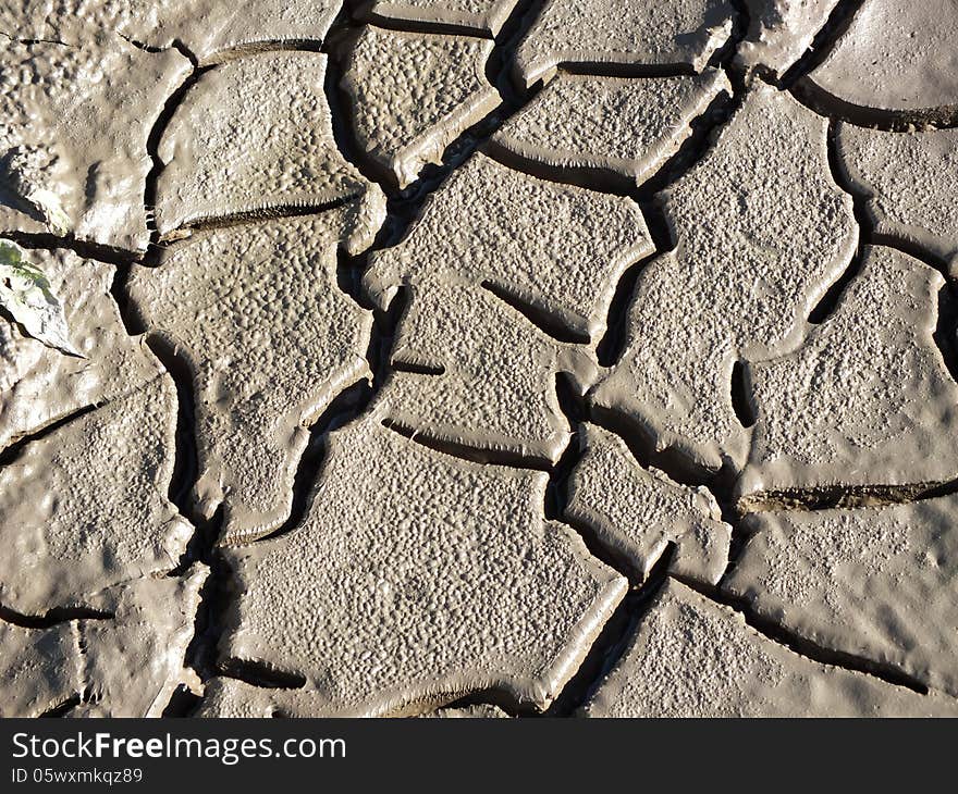 Parched earth with cracks