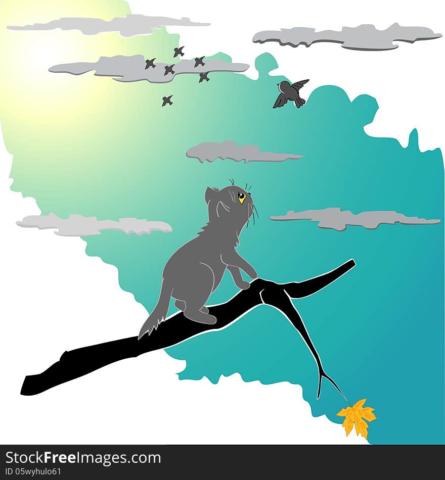 Kitten on a branch looking at birds flying away