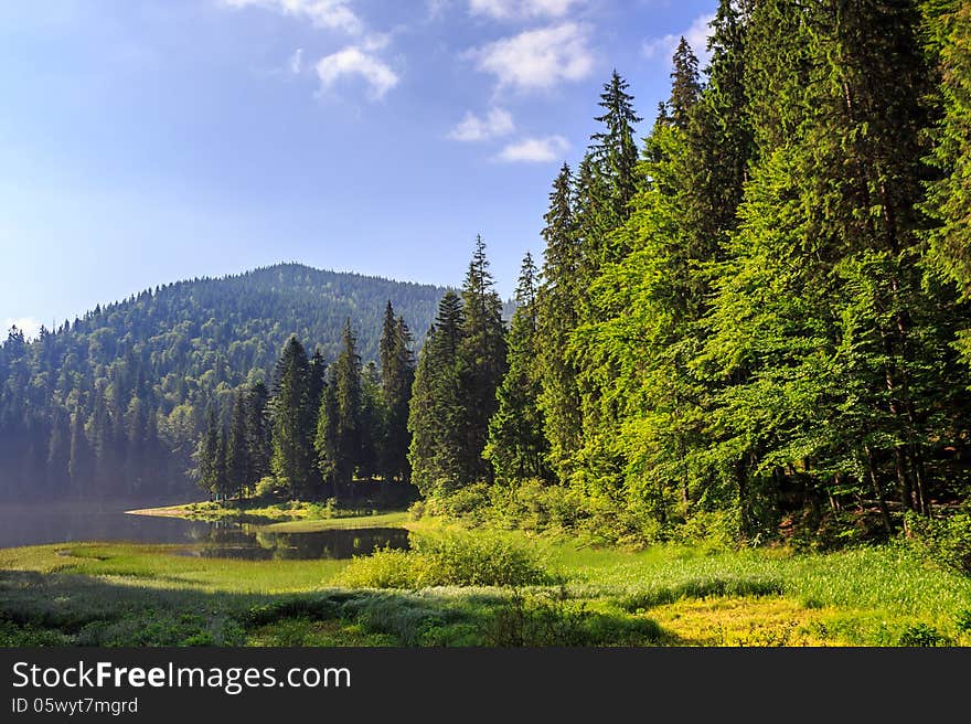 Lake in the mountains surrounded by a pine forest in the early morning