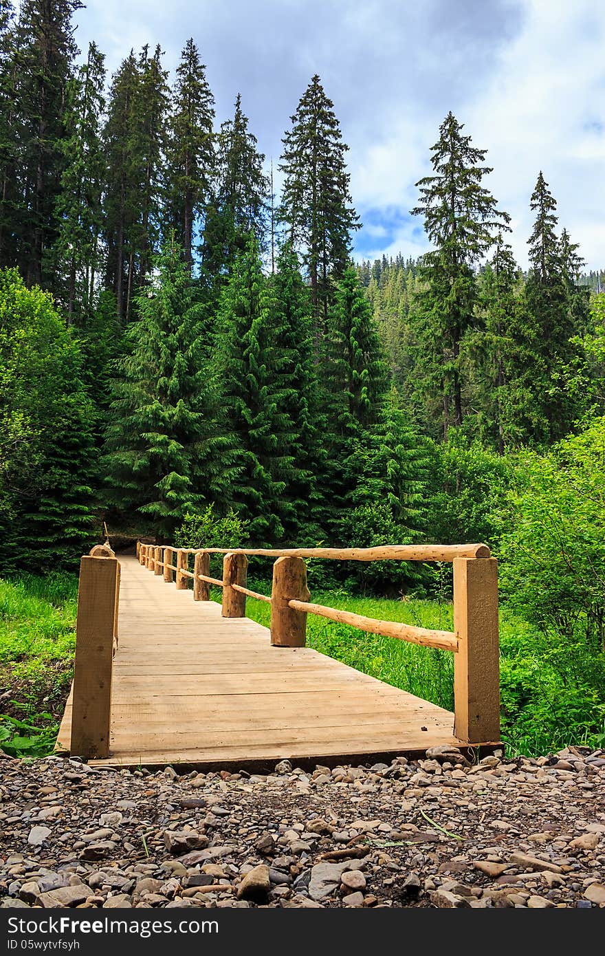 New wooden bridge leading from the unpaved road to a dense coniferous forest. vertical. New wooden bridge leading from the unpaved road to a dense coniferous forest. vertical