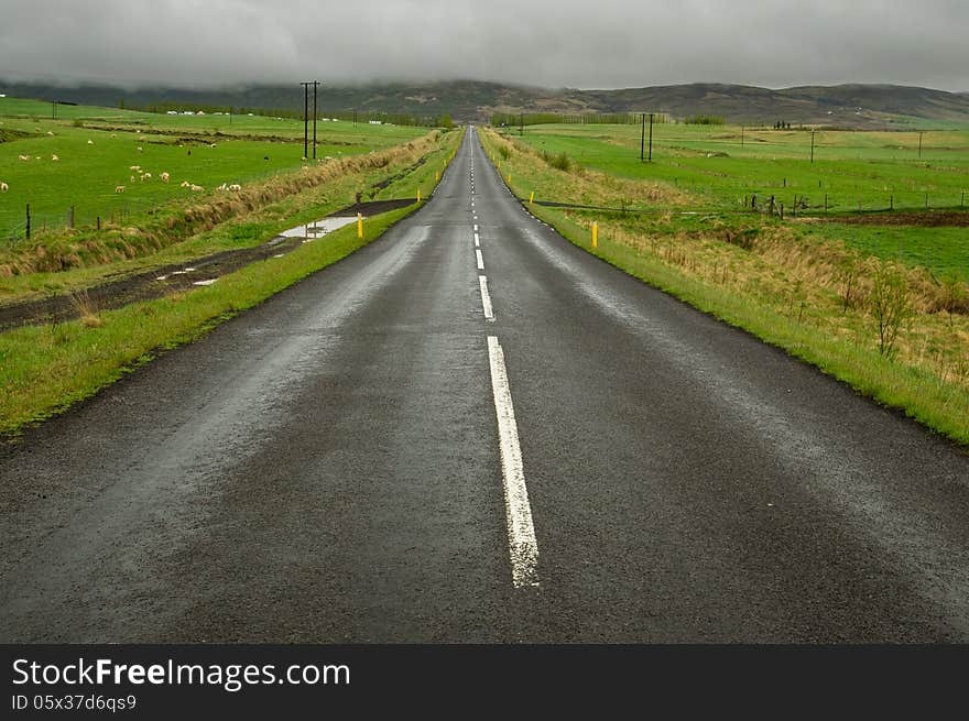 Icelandic road through farms in light rain