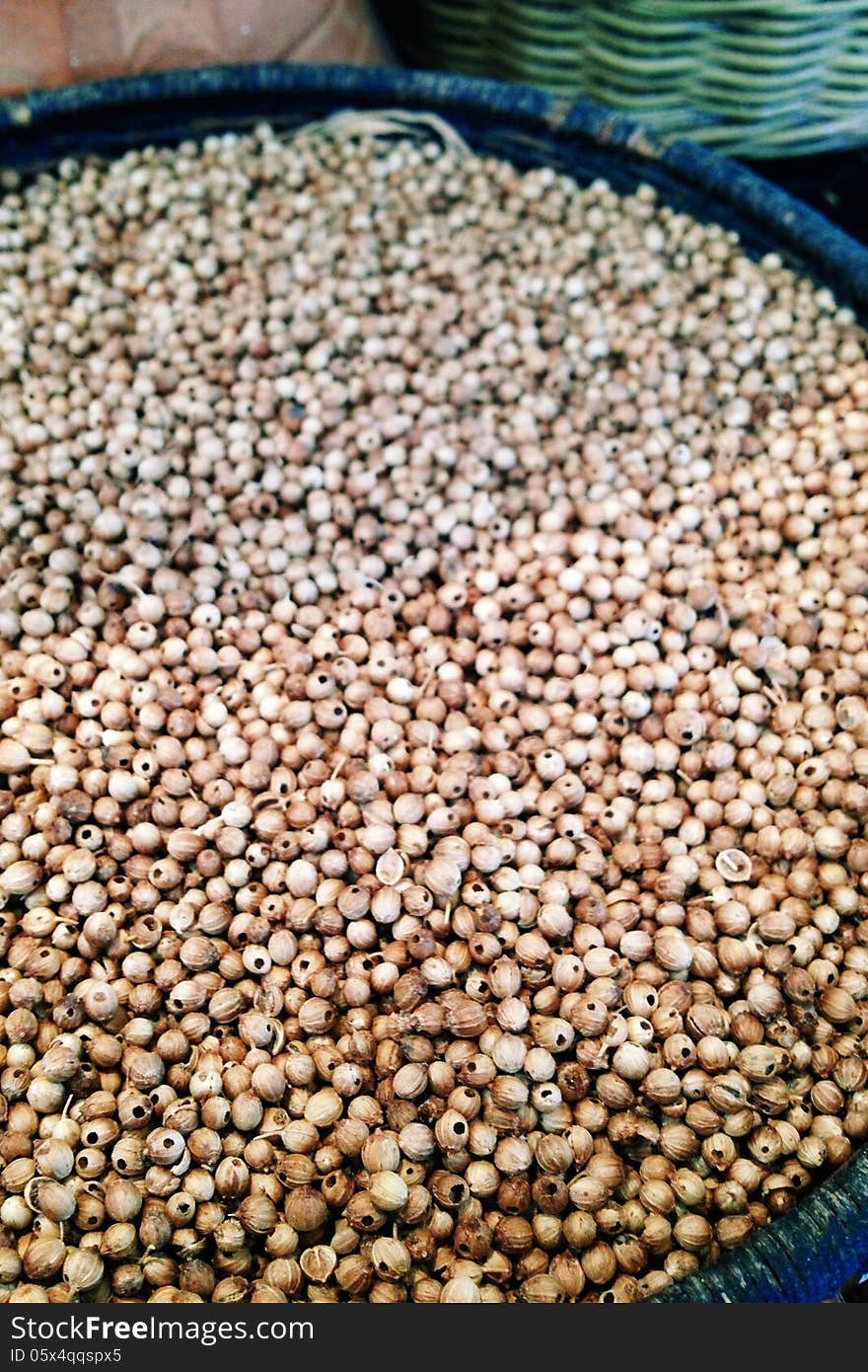 Image of Coriander Seed background