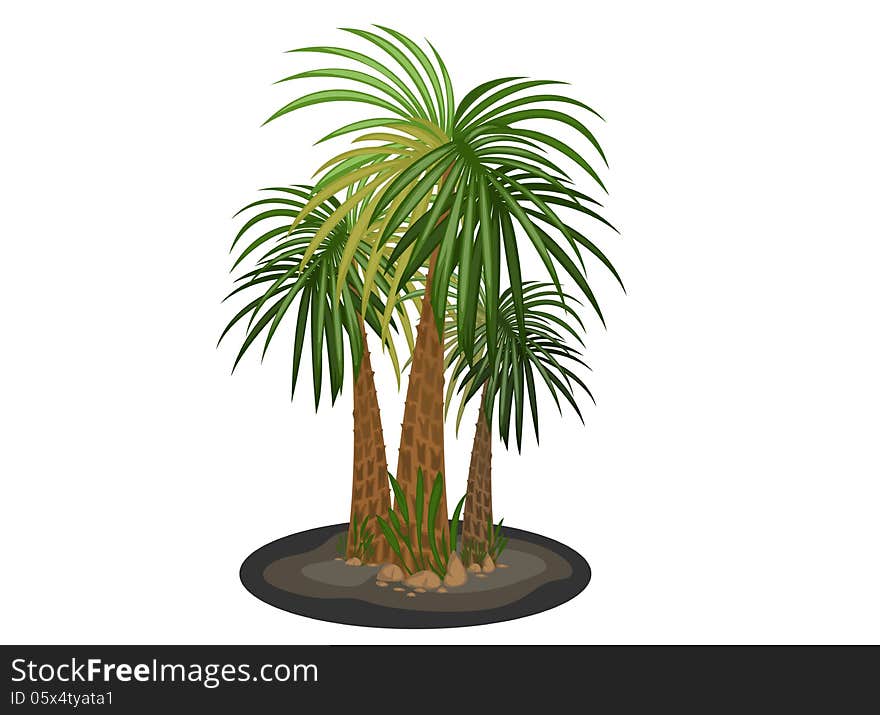 Palm trees cartoon on a white background