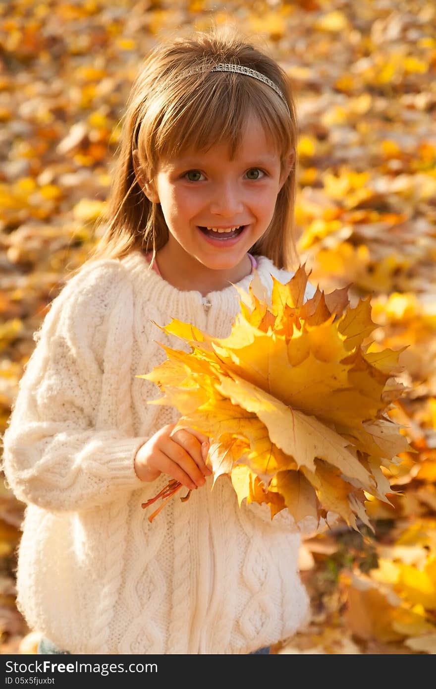 Adorable little girl with autumn leaves in the beauty park