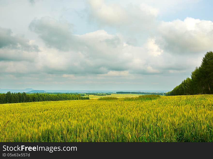 The photo taken in China's heilongjiang province Beian city Wudalianchi scenic spot. The photo taken in China's heilongjiang province Beian city Wudalianchi scenic spot.