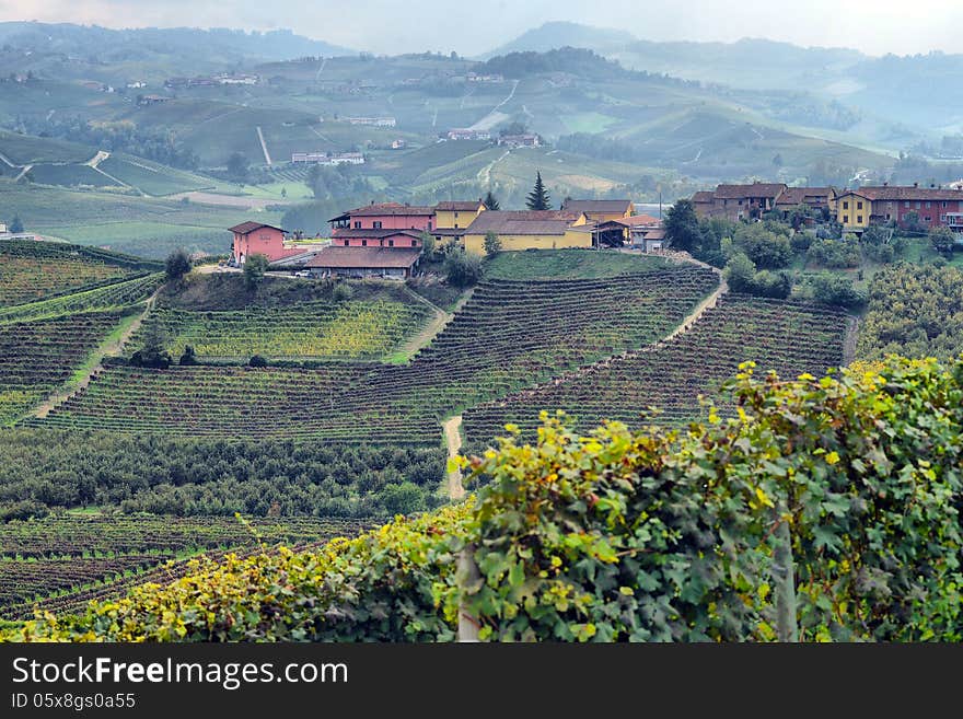 Panorama of vineyards in autumn in northern Italy