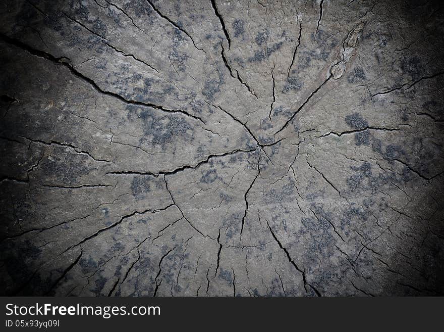 Old wood dirty texture. Abstract background. Old wood dirty texture. Abstract background.