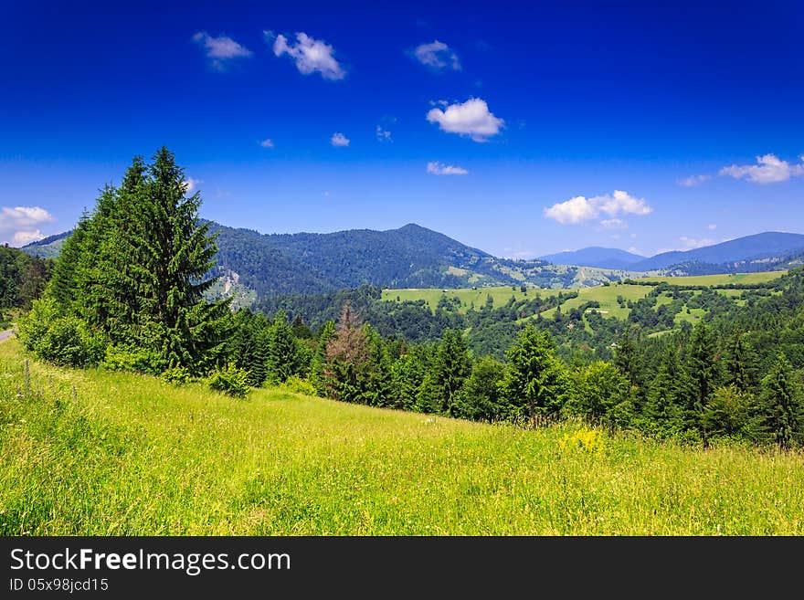 Green meadow with trees in front of a mountain view on serene summer day. Green meadow with trees in front of a mountain view on serene summer day