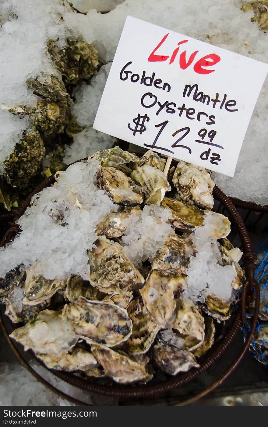 Fresh Raw Oysters For Sale