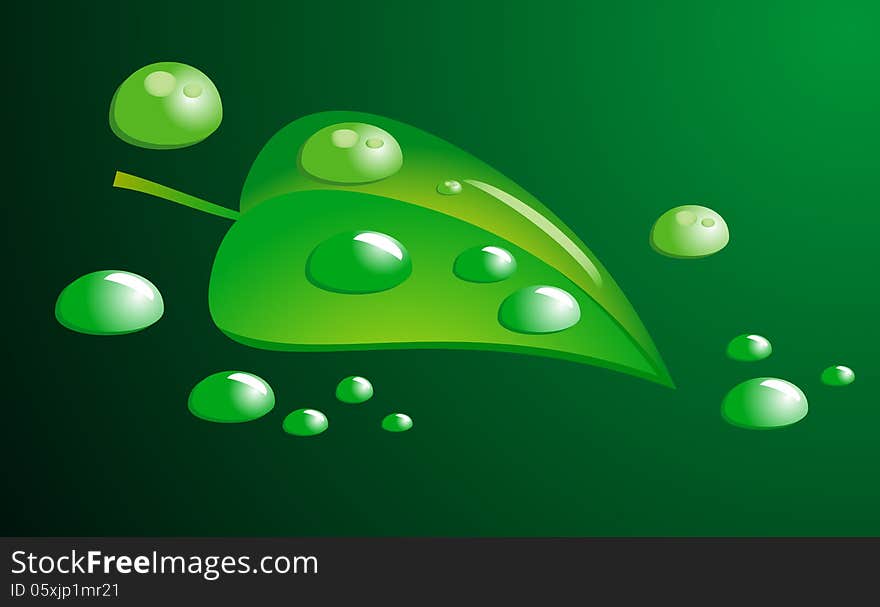 Green Leaf And Water Drops