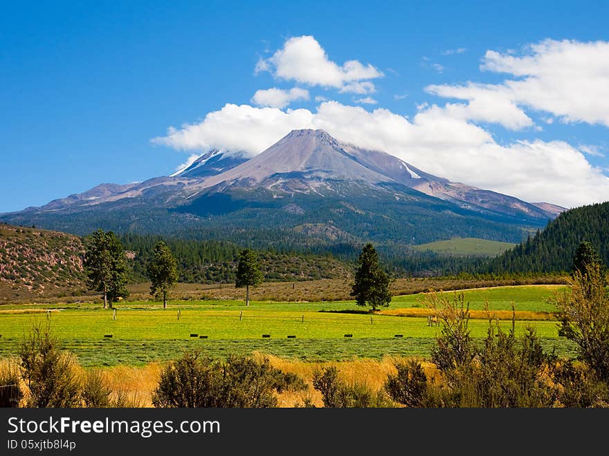 Mount Shasta