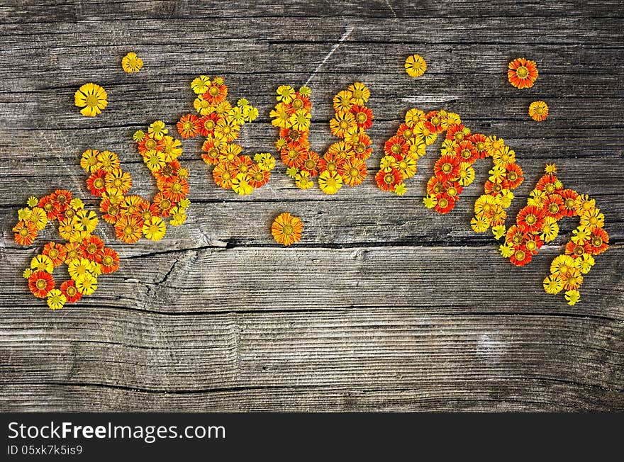 Word from flowers on wooden background. Word from flowers on wooden background