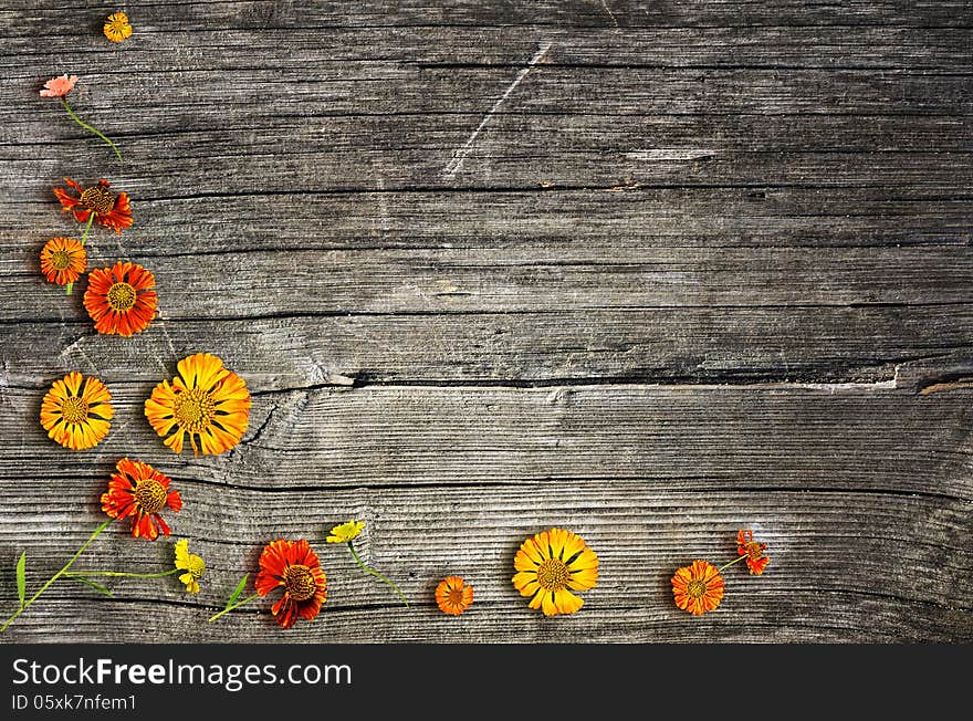 Autumn flowers on fooden background