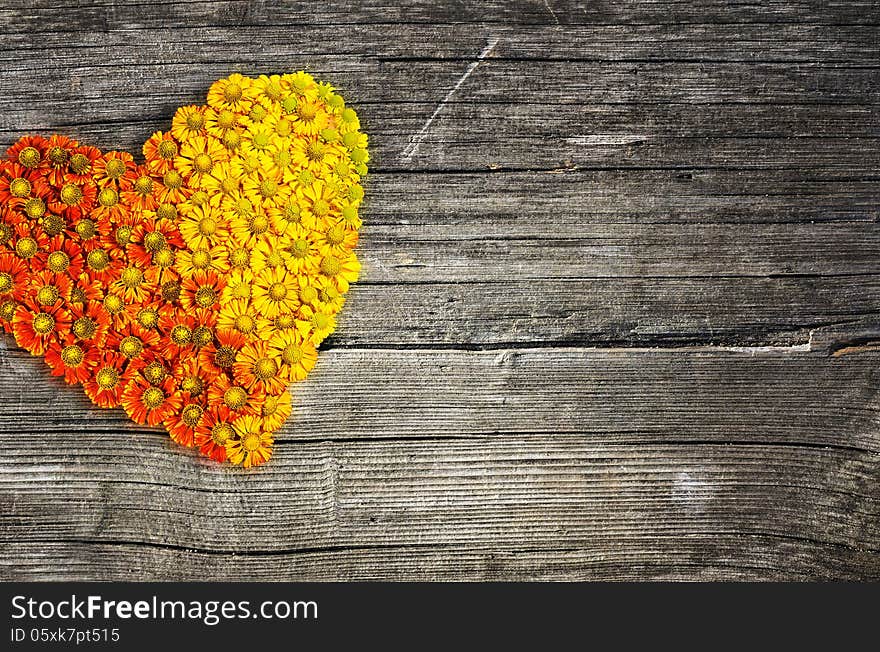 Flower heart on wooden background