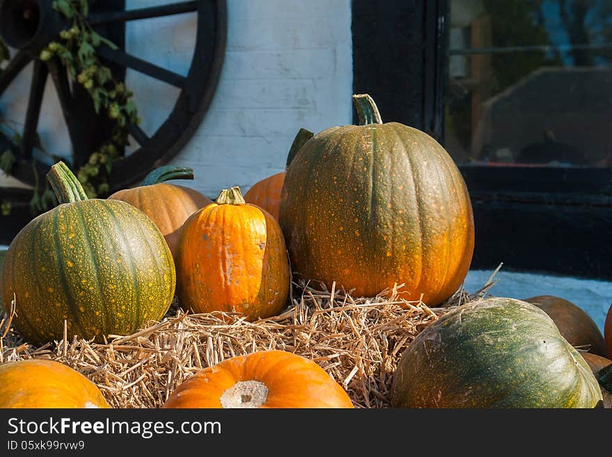 Colorful Pumpkins For Halloween Scary Jack