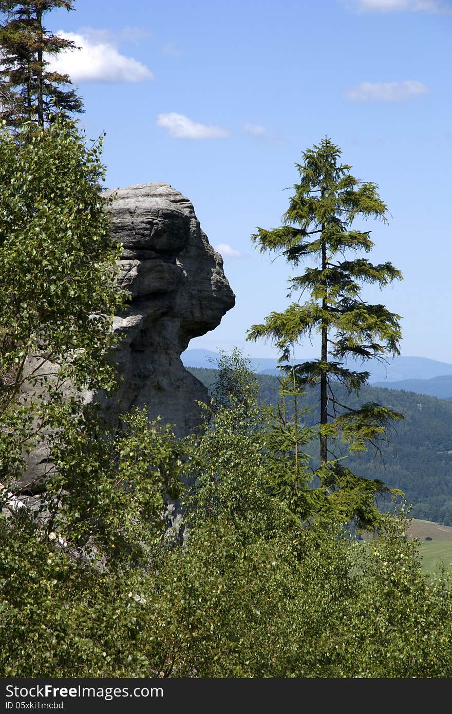 Rock in the woods in the shape of a human head