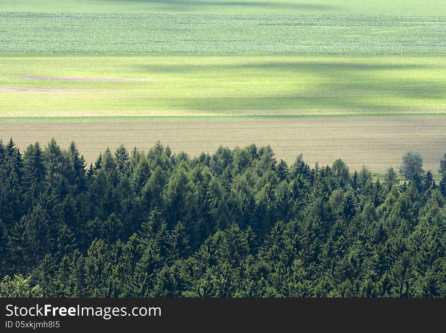 Three colored stripes in the field. Three colored stripes in the field