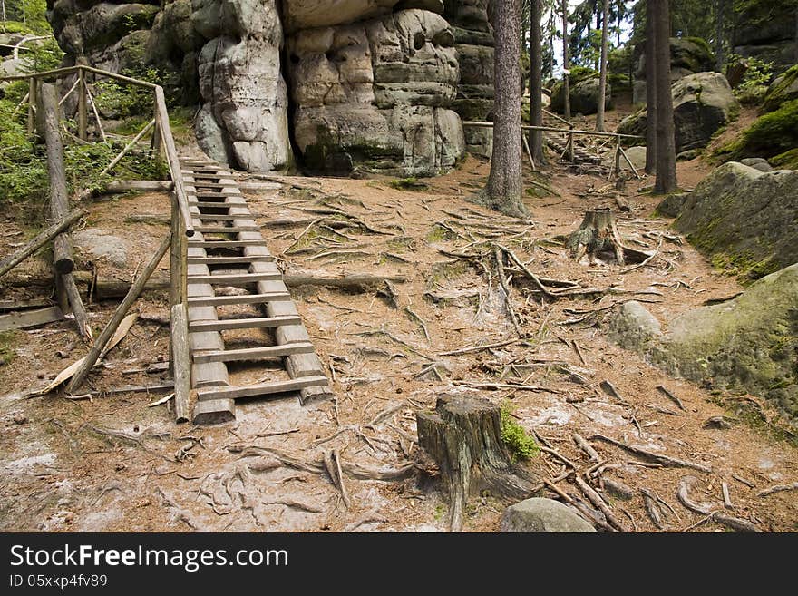 Wooden stairs in the forest