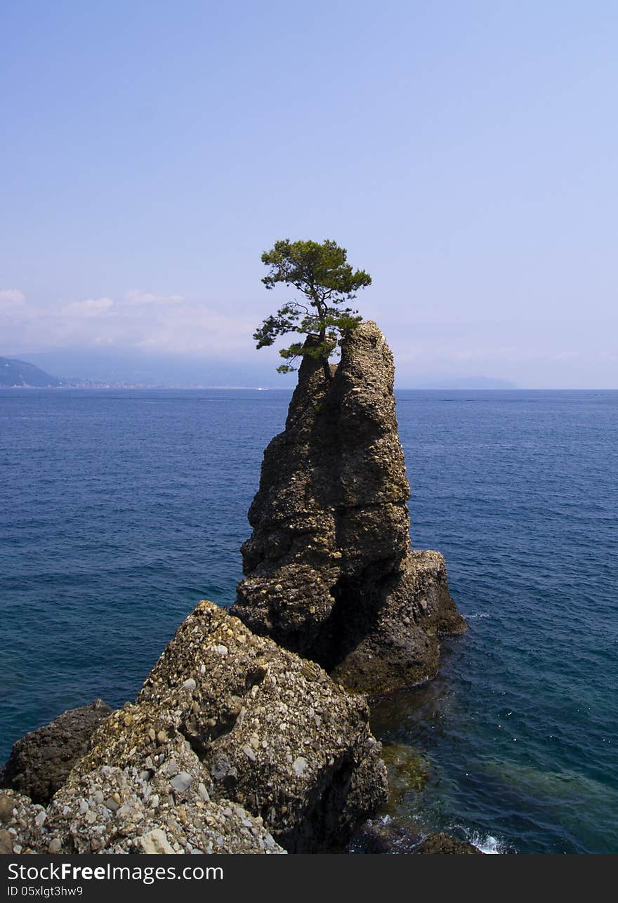 Portofino natural regional park. Liguria, Italy. Portofino natural regional park. Liguria, Italy