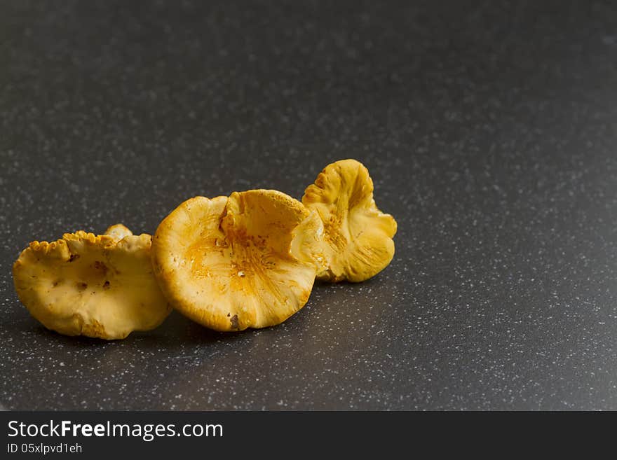 Chanterelle