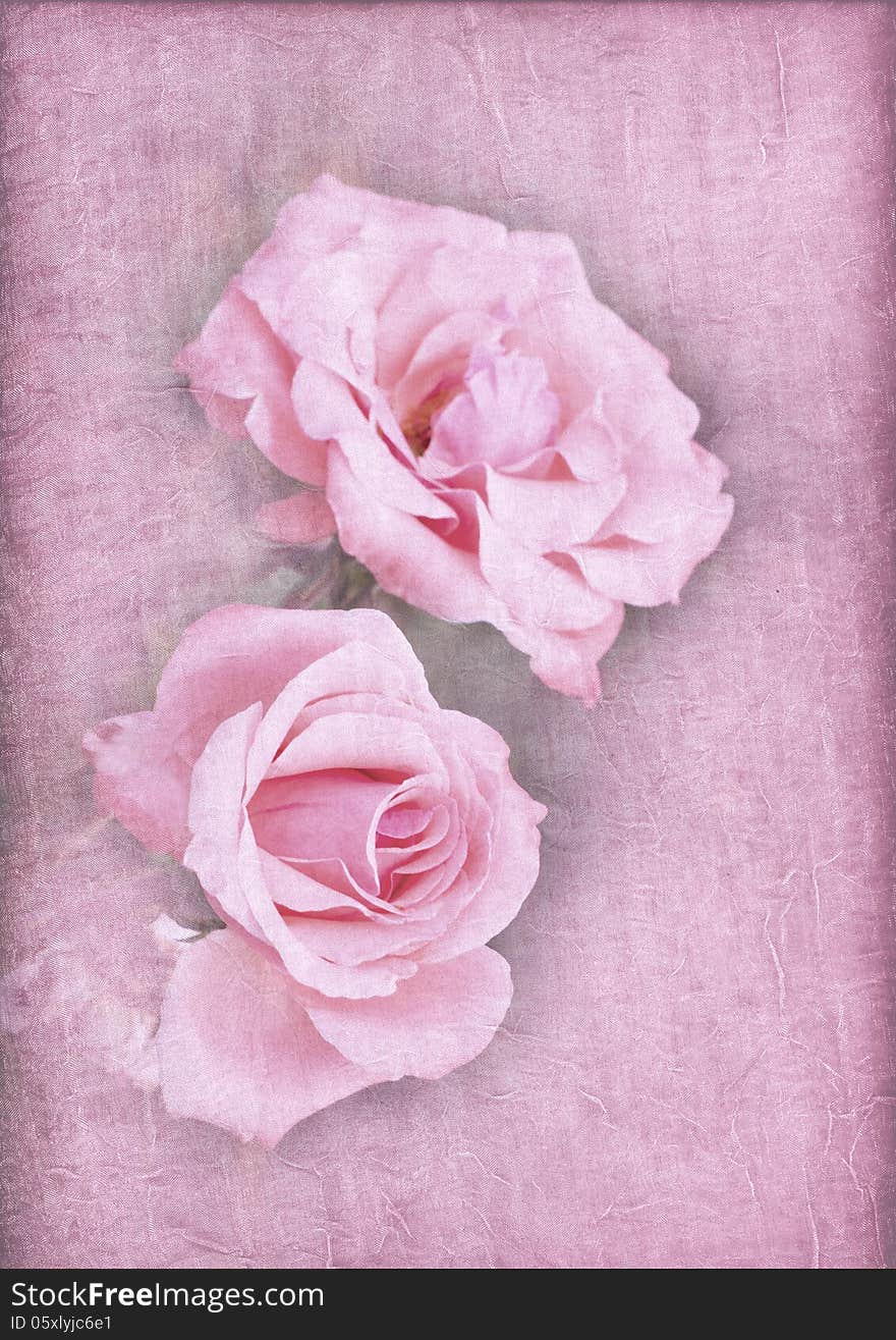 Beautiful pink roses on a textured background. Beautiful pink roses on a textured background