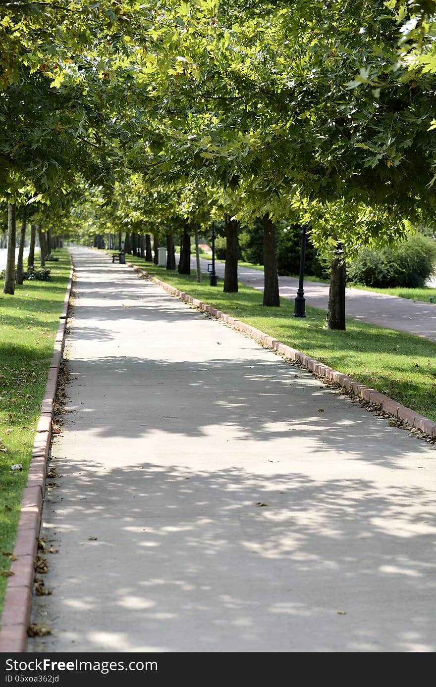 Walk way in the park.